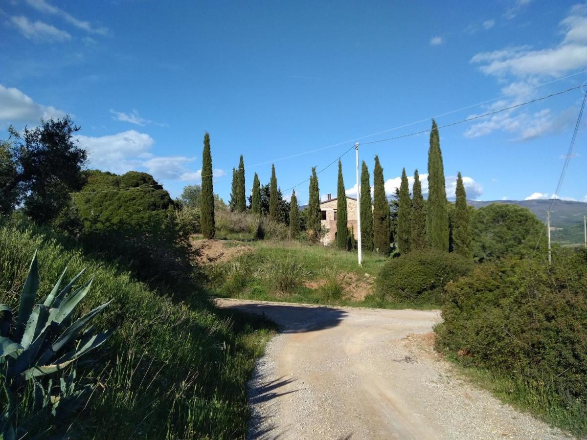 La Colombera In Toscana Роккальбенья Экстерьер фото